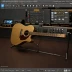 Masterbilt Dreadnought-Premium