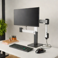 Monitor Mount with Integrated Cable Raceway