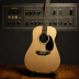 Martin D-10E