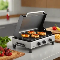 Member's Mark Pro Series 5-Burner Griddle