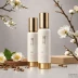 Missha Cho Gong Jin Sosaeng Essence