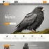 Munin