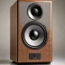 Martin Logan CLS