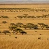 Maasai Steppe