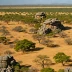 Matobo Hills Savanna