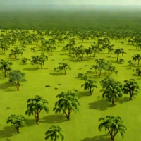 Mosquitia Savanna
