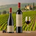 Masi Costasera Amarone della Valpolicella