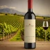 Mullineux Syrah