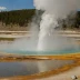 Minute Geyser (Shoshone)