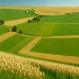 Moldavian Steppe
