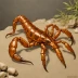 Mesobuthus martensii