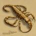 Mesobuthus gibbosus