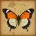 Map Butterfly