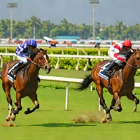 Madras Derby