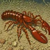 Mozambique lobsterette (Metanephrops mozambicus)