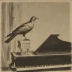Messiaen: La colombe (8 Préludes pour piano, No. 1)