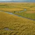 Marias River Prairie