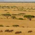 Masai Mara Plain