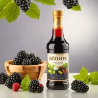Monin Blackberry Syrup