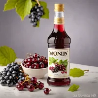 Monin Blackcurrant Syrup