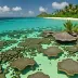 Mauritius Reef