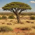 Molopo Bushveld
