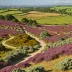 Mutter's Moor