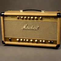 Marshall 2061 (20W)