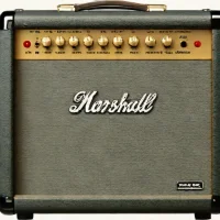 Marshall MA100H