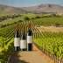 Mullineux & Leeu Family Wines
