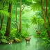 Maiko National Park