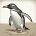 Marplesornis novaezealandiae