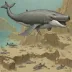 Maiacetus inuus