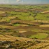 Midgley Moor