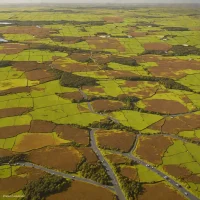 Muirkirk Uplands