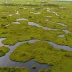 Mongan Bog