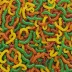 Mann's Jelly Worm
