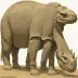 Moschops capensis