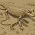 Metoposaurus krasiejowensis