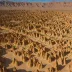 Moon Valley (Valle de la Luna), Bolivia