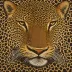 Moooi Carpets Bearded Leopard Rug