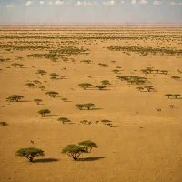 Masai steppe