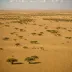 Masai steppe