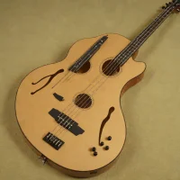 Michael Kelly Dragonfly 4 String Fretless