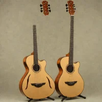 Michael Kelly Dragonfly 5 String Fretless