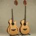 Michael Kelly Dragonfly 5 String Fretless