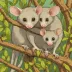 Murine mouse opossum