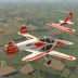 MDM-1 Solo Fox
