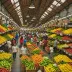 Mercado de Medellín Mexico City