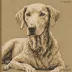 Monologue of a Dog